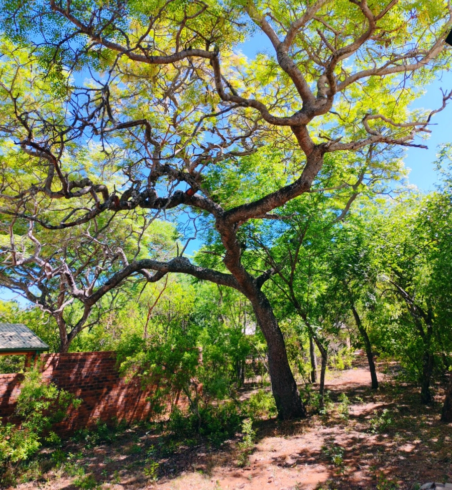 3 Bedroom Property for Sale in Modimolle Limpopo
