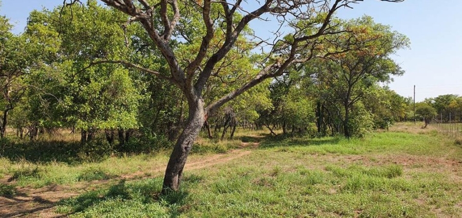  Bedroom Property for Sale in Alma Limpopo