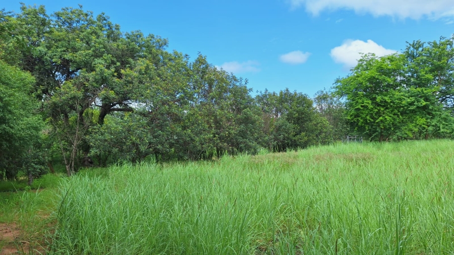  Bedroom Property for Sale in Alma Limpopo
