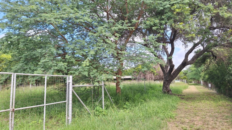  Bedroom Property for Sale in Alma Limpopo