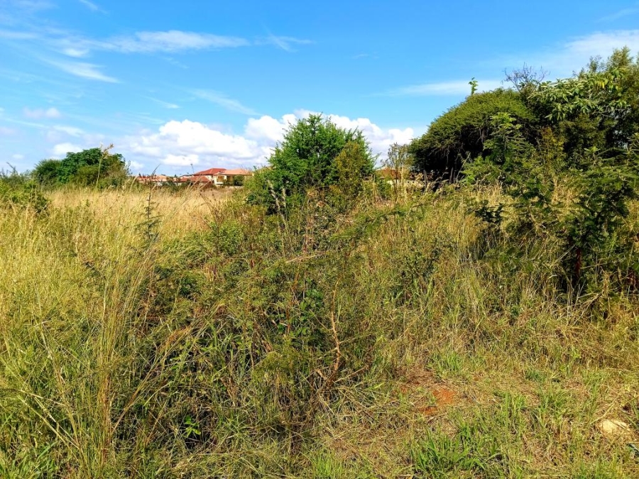 Commercial Property for Sale in Serala View Limpopo