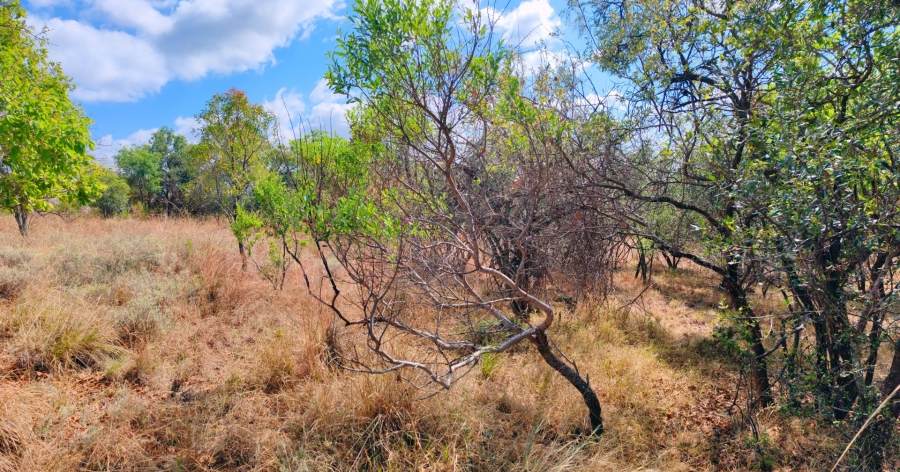 Commercial Property for Sale in Koro Creek Golf Estate Limpopo