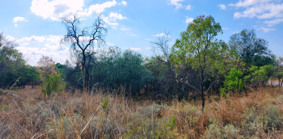 Commercial Property for Sale in Koro Creek Golf Estate Limpopo