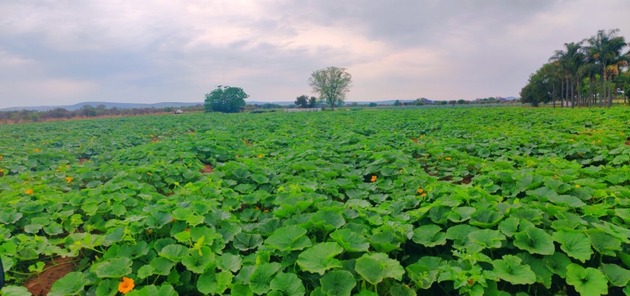 Commercial Property for Sale in Bela Bela Limpopo