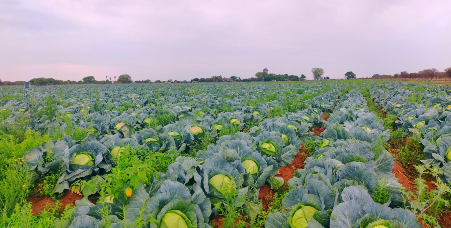 Commercial Property for Sale in Bela Bela Limpopo