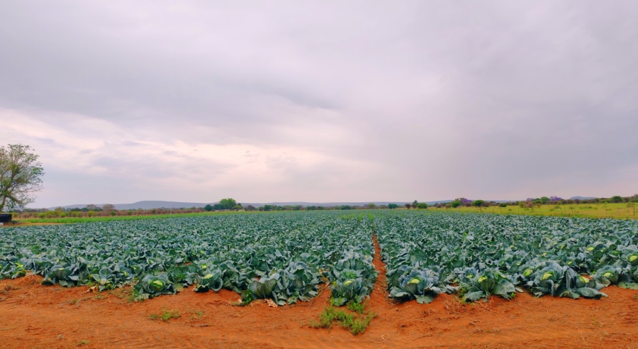 Commercial Property for Sale in Bela Bela Limpopo