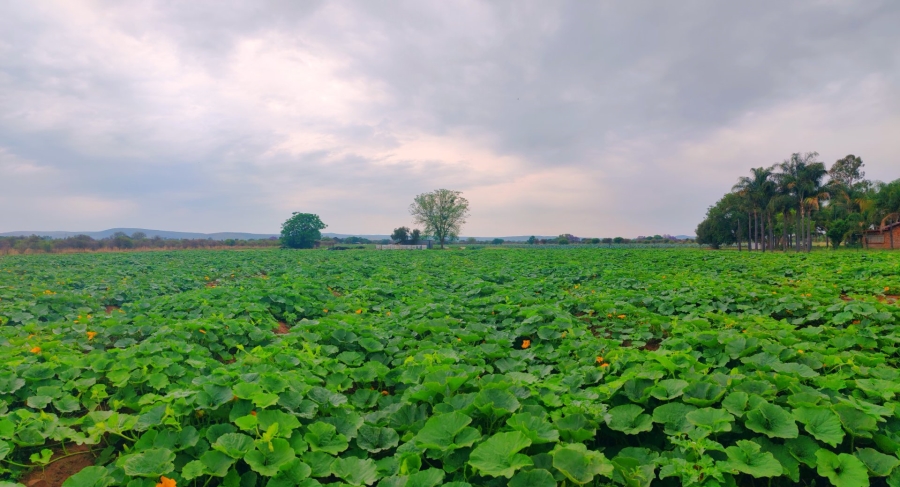 Commercial Property for Sale in Bela Bela Limpopo