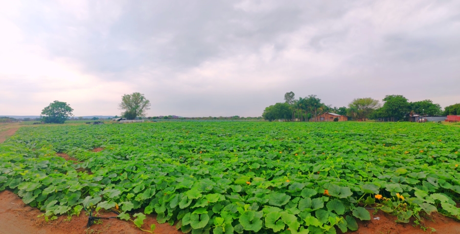 Commercial Property for Sale in Bela Bela Limpopo