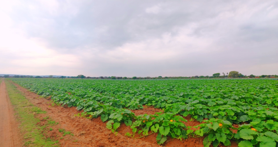 Commercial Property for Sale in Bela Bela Limpopo