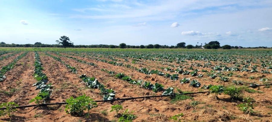 Commercial Property for Sale in Bela Bela Limpopo