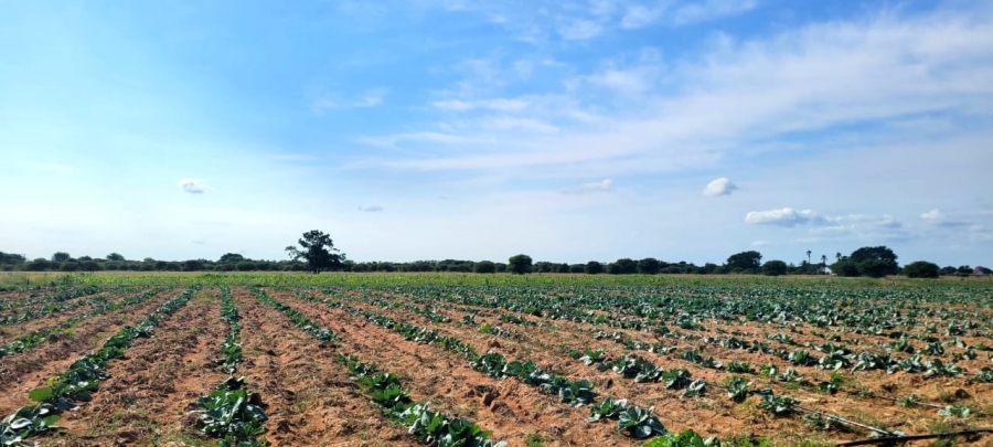 Commercial Property for Sale in Bela Bela Limpopo