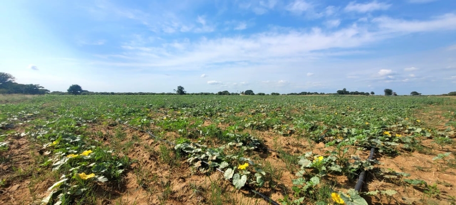 Commercial Property for Sale in Bela Bela Limpopo