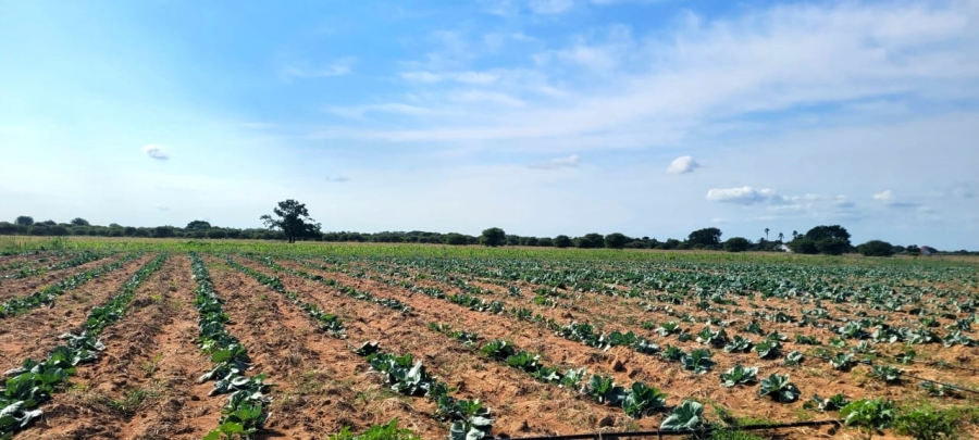 Commercial Property for Sale in Bela Bela Limpopo