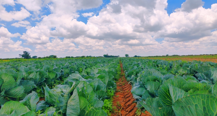 Commercial Property for Sale in Bela Bela Limpopo