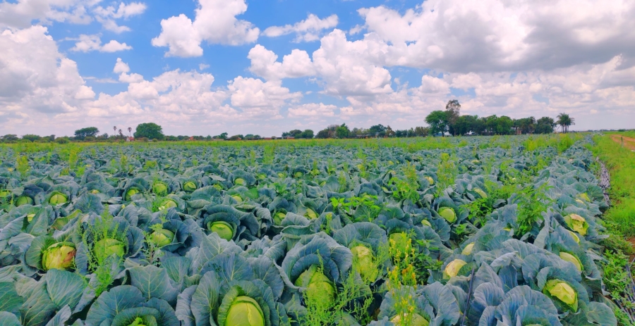 Commercial Property for Sale in Bela Bela Limpopo