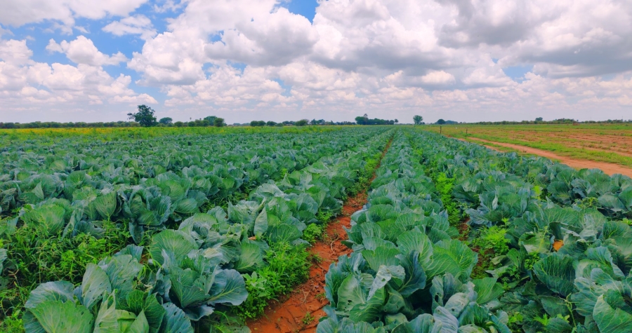 Commercial Property for Sale in Bela Bela Limpopo