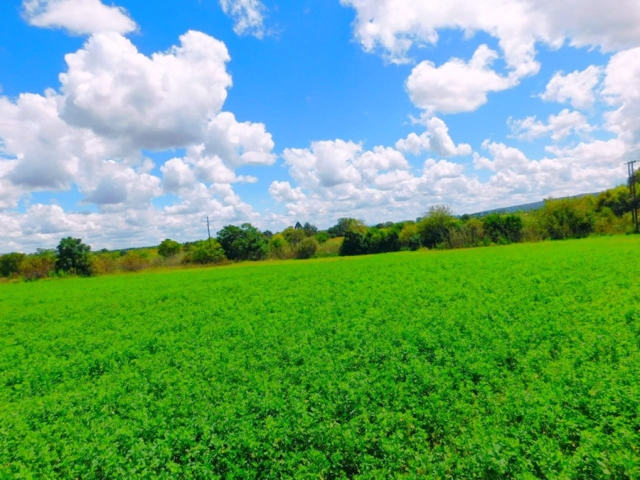 Commercial Property for Sale in Modimolle Limpopo