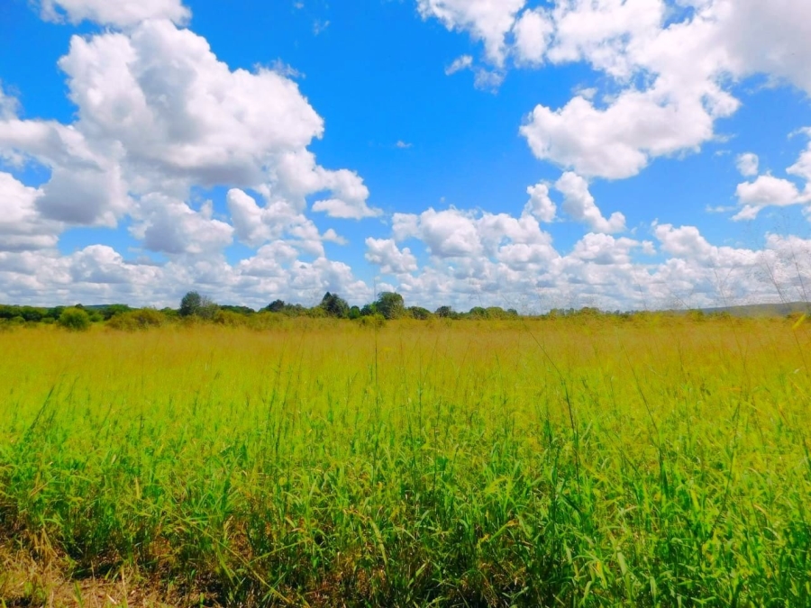 Commercial Property for Sale in Modimolle Limpopo
