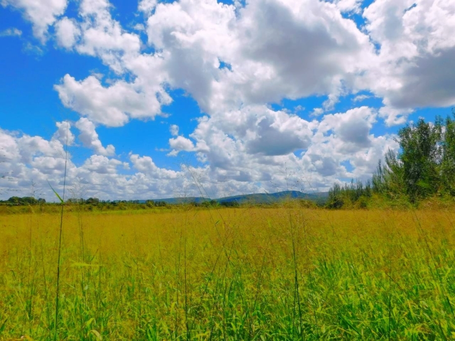Commercial Property for Sale in Modimolle Limpopo