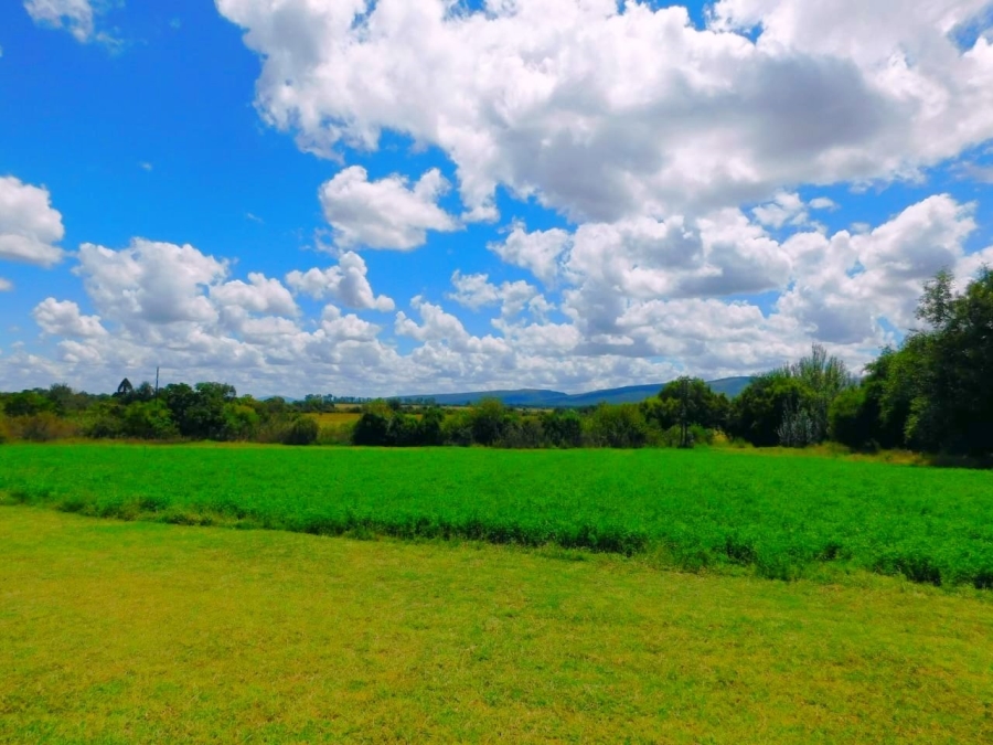 Commercial Property for Sale in Modimolle Limpopo
