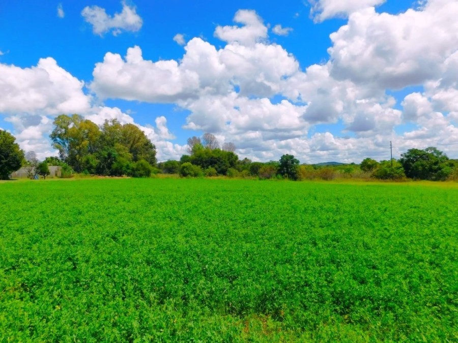 Commercial Property for Sale in Modimolle Limpopo