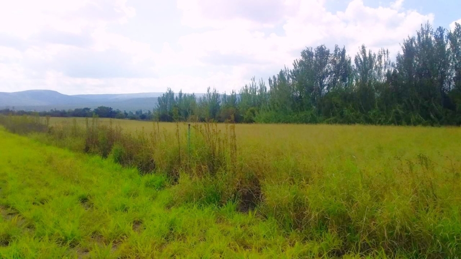 Commercial Property for Sale in Modimolle Limpopo