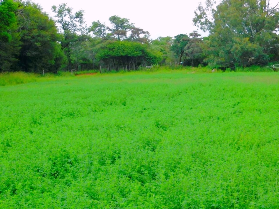 Commercial Property for Sale in Modimolle Limpopo
