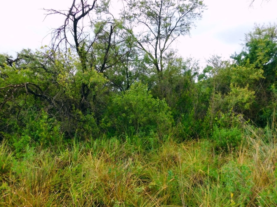 Commercial Property for Sale in Modimolle Limpopo