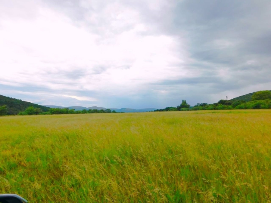 Commercial Property for Sale in Modimolle Limpopo