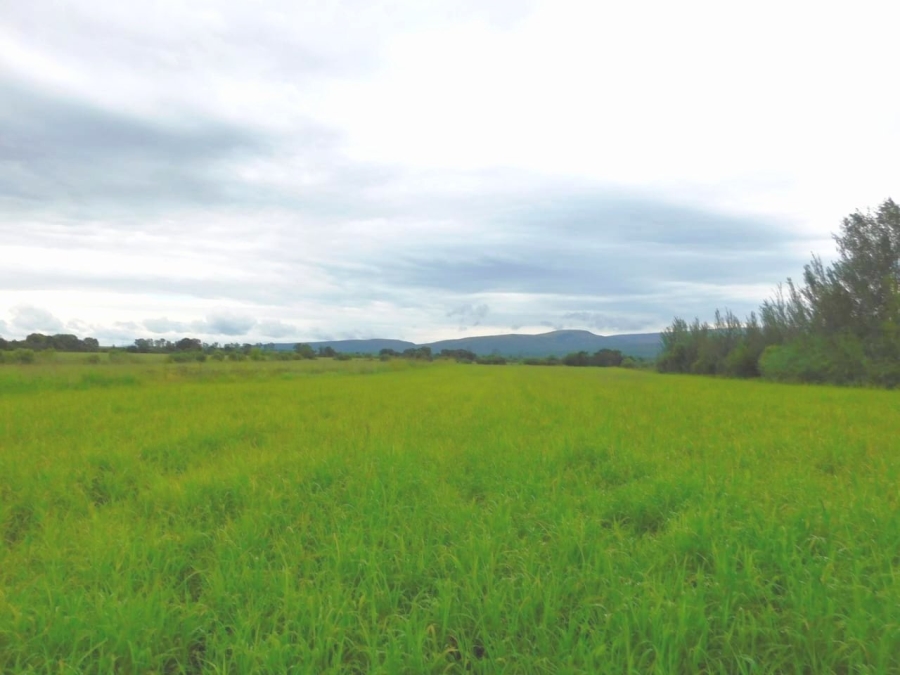 Commercial Property for Sale in Modimolle Limpopo