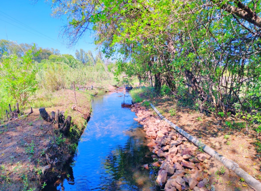 Commercial Property for Sale in Modimolle Limpopo