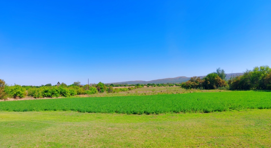 Commercial Property for Sale in Modimolle Limpopo