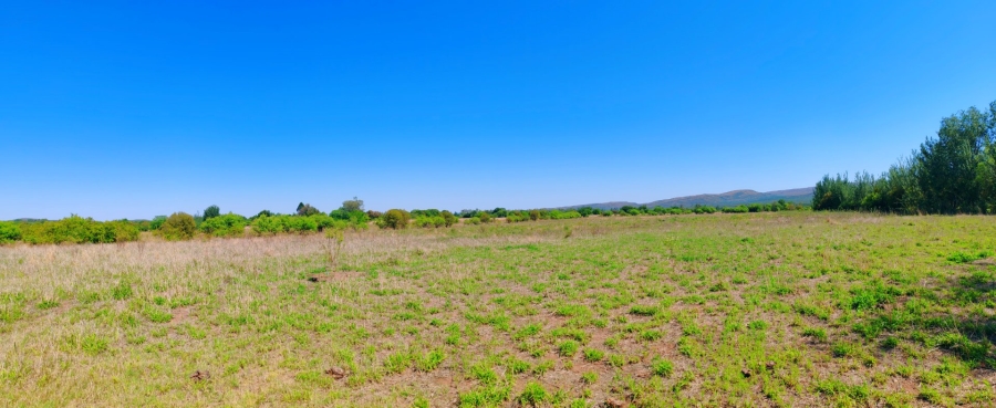 Commercial Property for Sale in Modimolle Limpopo