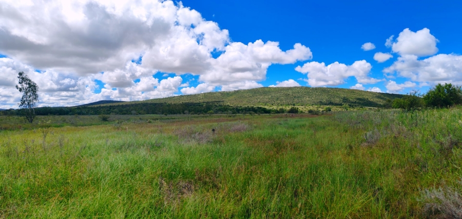 Commercial Property for Sale in Modimolle Limpopo