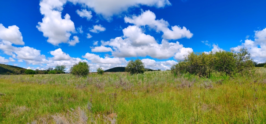 Commercial Property for Sale in Modimolle Limpopo