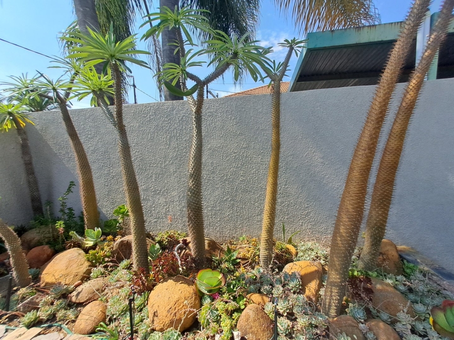 3 Bedroom Property for Sale in Polokwane Central Limpopo