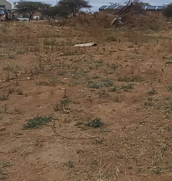 Commercial Property for Sale in Magna Via Industrial Limpopo