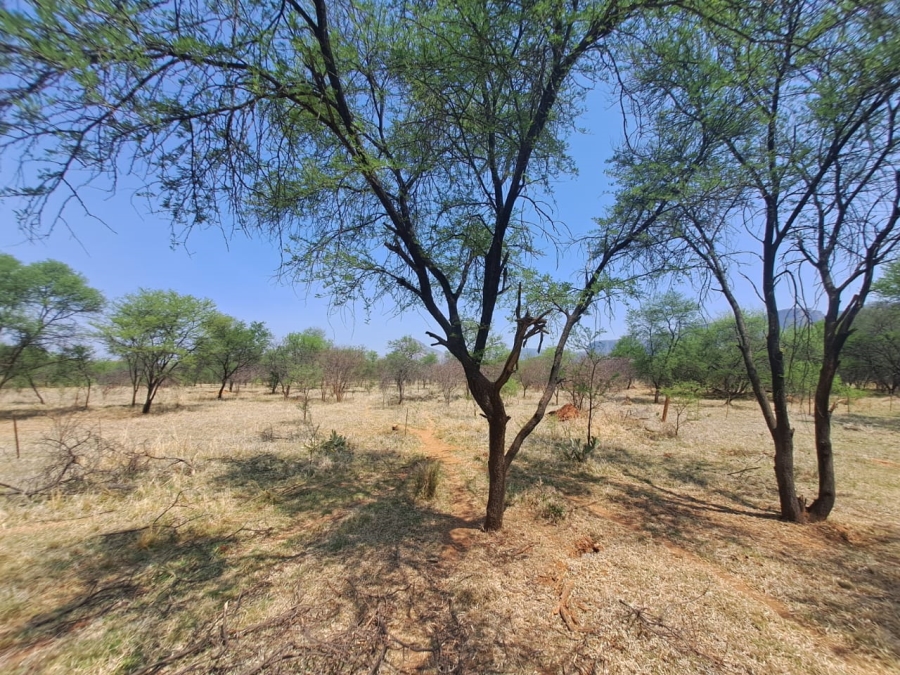 Commercial Property for Sale in Sterkrivier Ah Limpopo