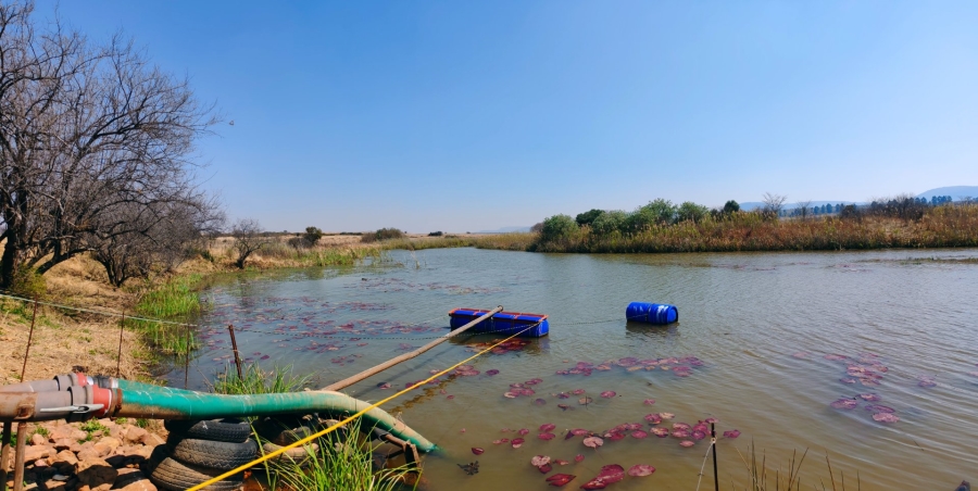 Commercial Property for Sale in Mookgopong Limpopo