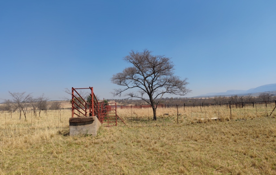 Commercial Property for Sale in Mookgopong Limpopo