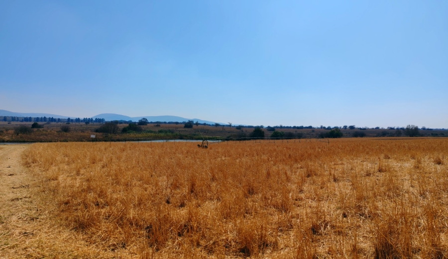 Commercial Property for Sale in Mookgopong Limpopo