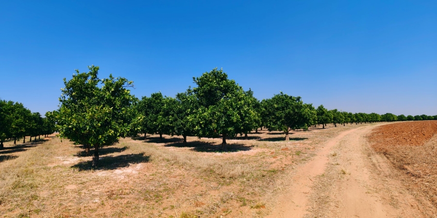 Commercial Property for Sale in Mookgopong Limpopo