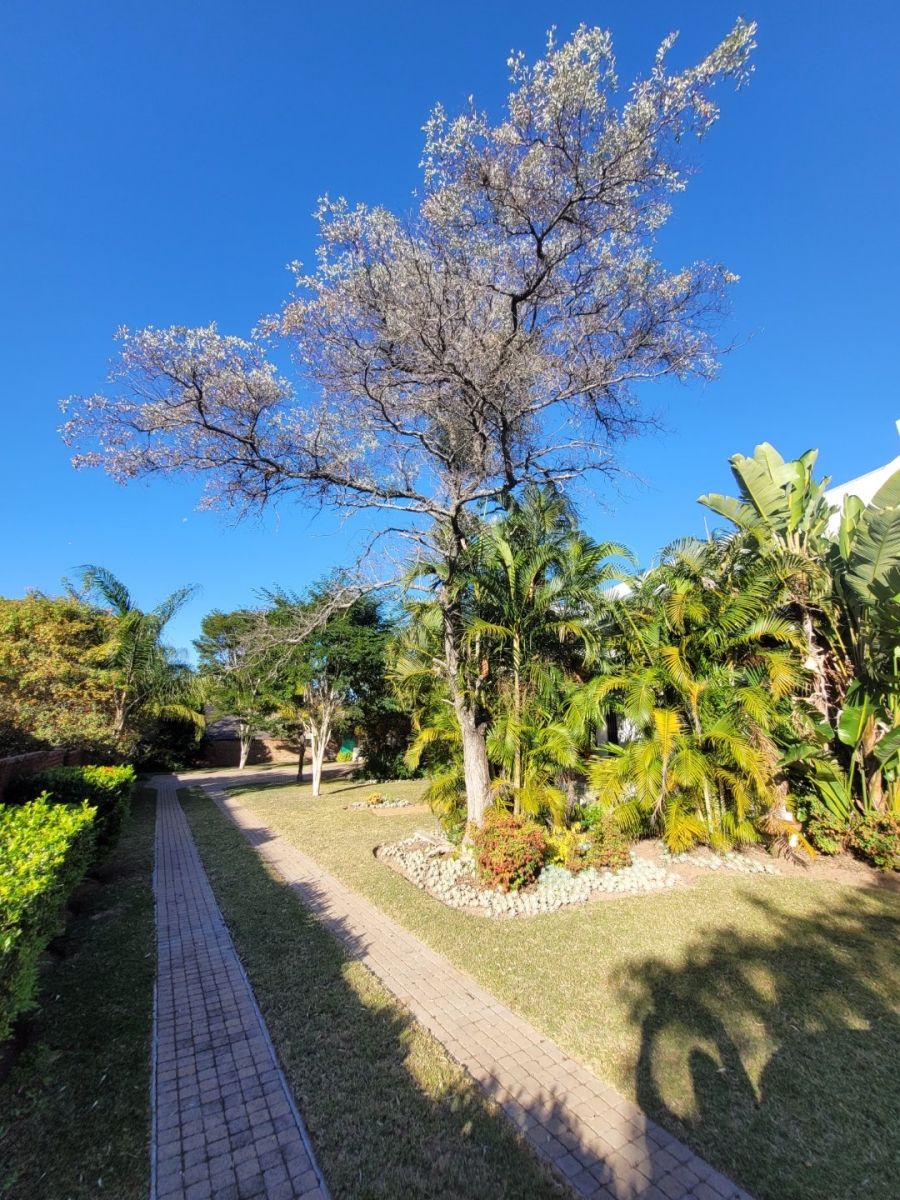 4 Bedroom Property for Sale in Modimolle Limpopo