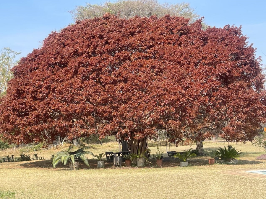 Commercial Property for Sale in Vaalwater Limpopo