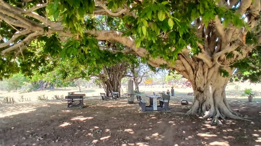 Commercial Property for Sale in Vaalwater Limpopo