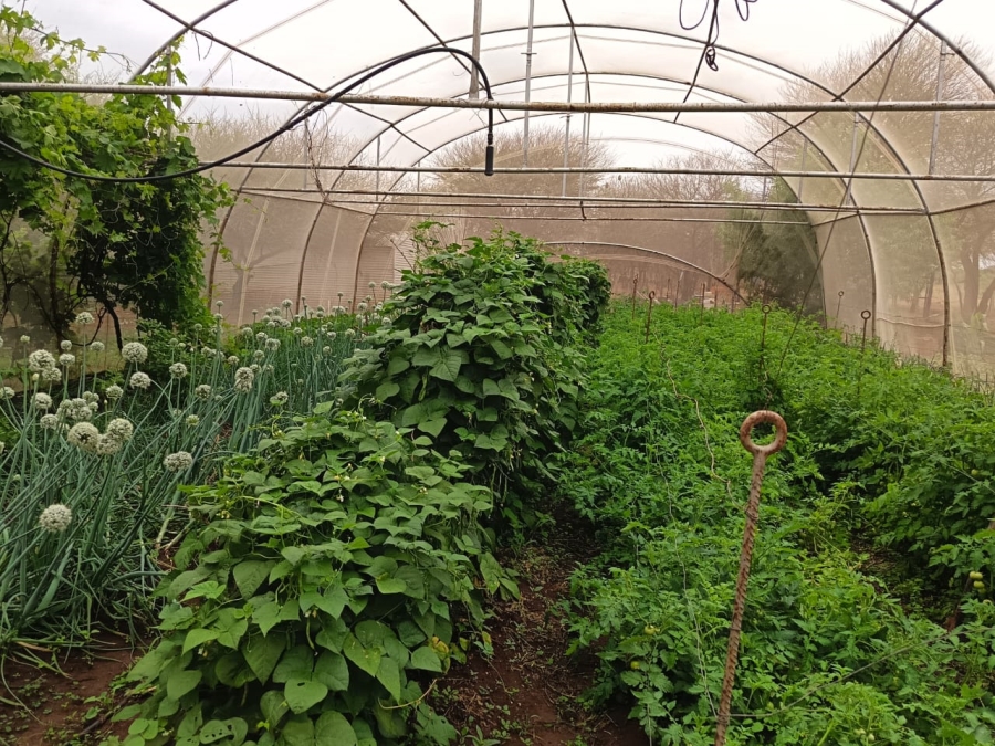 3 Bedroom Property for Sale in Wilderbeestaagte SH Limpopo