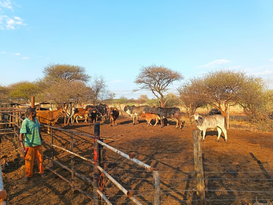 3 Bedroom Property for Sale in Wilderbeestaagte SH Limpopo