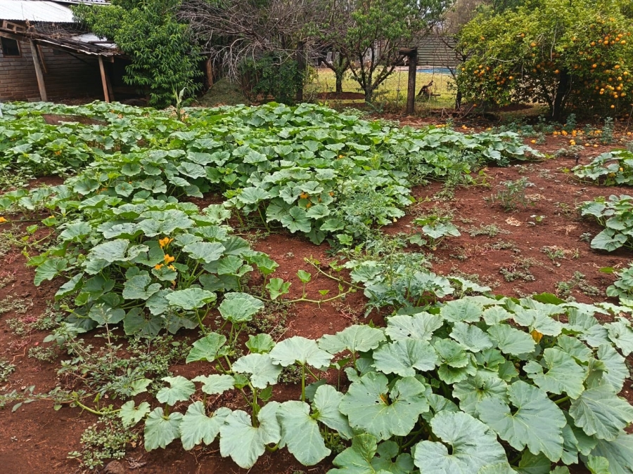 3 Bedroom Property for Sale in Wilderbeestaagte SH Limpopo