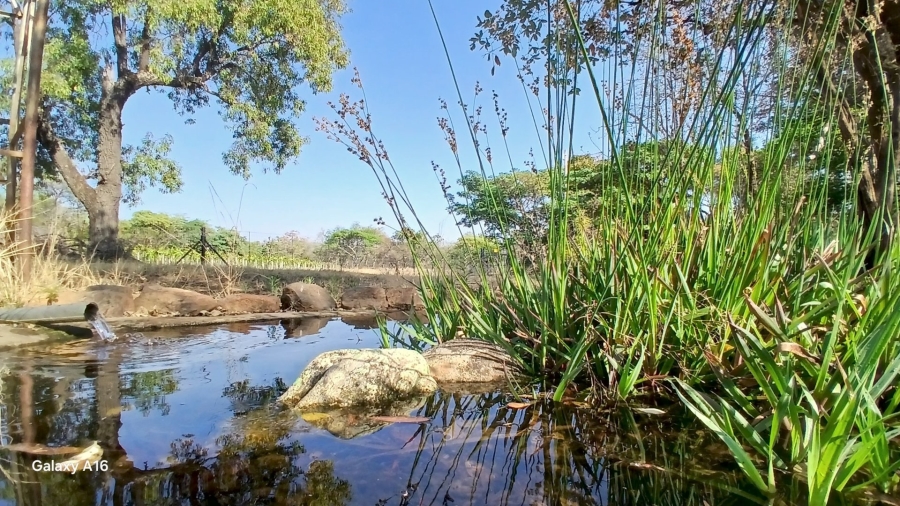 Commercial Property for Sale in Vaalwater Limpopo