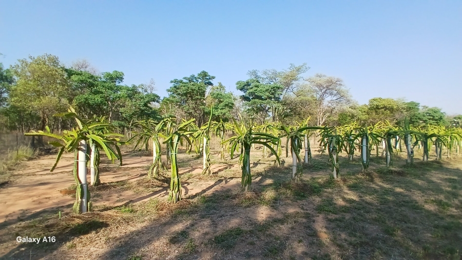 Commercial Property for Sale in Vaalwater Limpopo